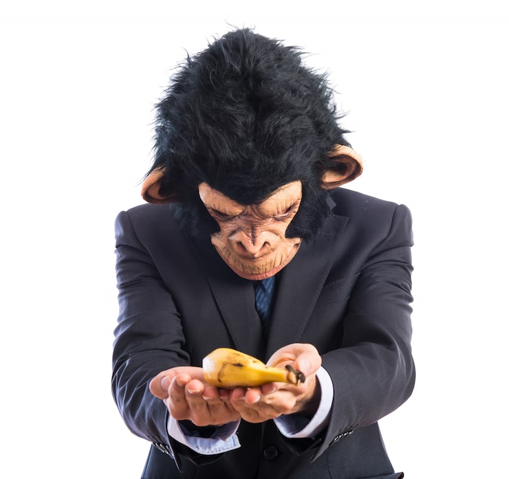 ApeCoin - Bored Ape Ecosystem Token 11 Community Dynamics and Social Coordination