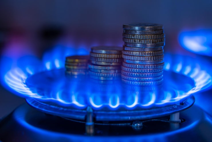 Gas Fees in Smart Contract Blockchains