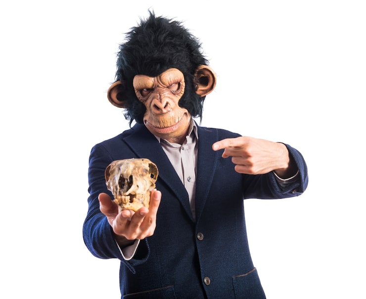 ApeCoin - Bored Ape Ecosystem Token 14 Conclusion